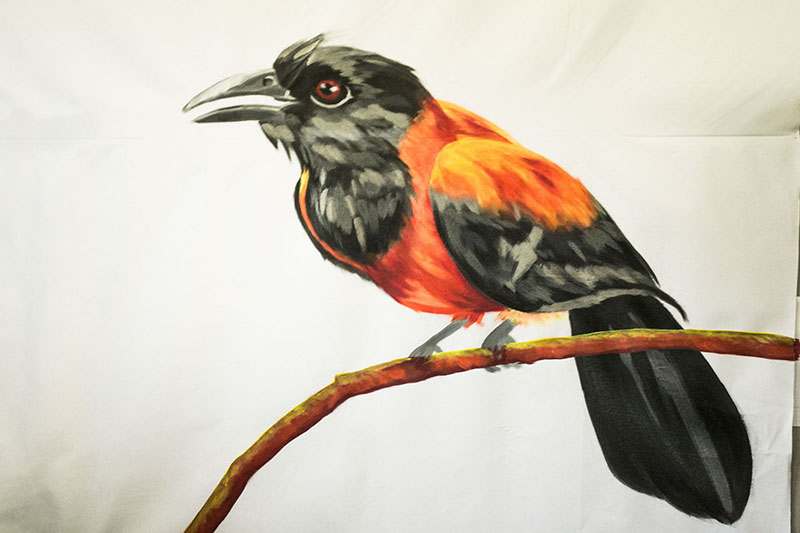 a painting of a pitohui, which resembles a crow but has a bright yellow and orange body and red eyes