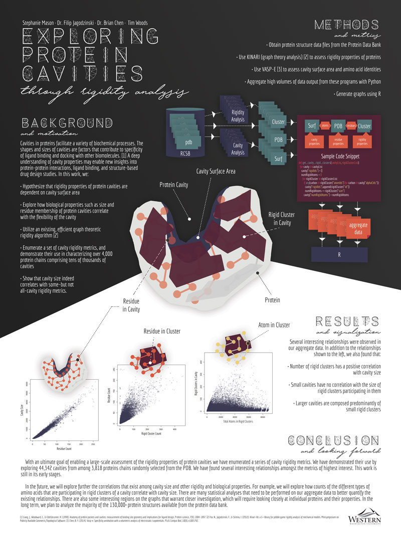 thumbnail of a scientific poster exploring rigid properties of protein cavities