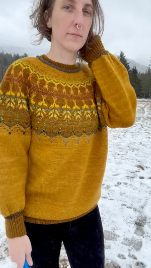 Long sleeve sweater with fair isle yoke, knit in golden tones