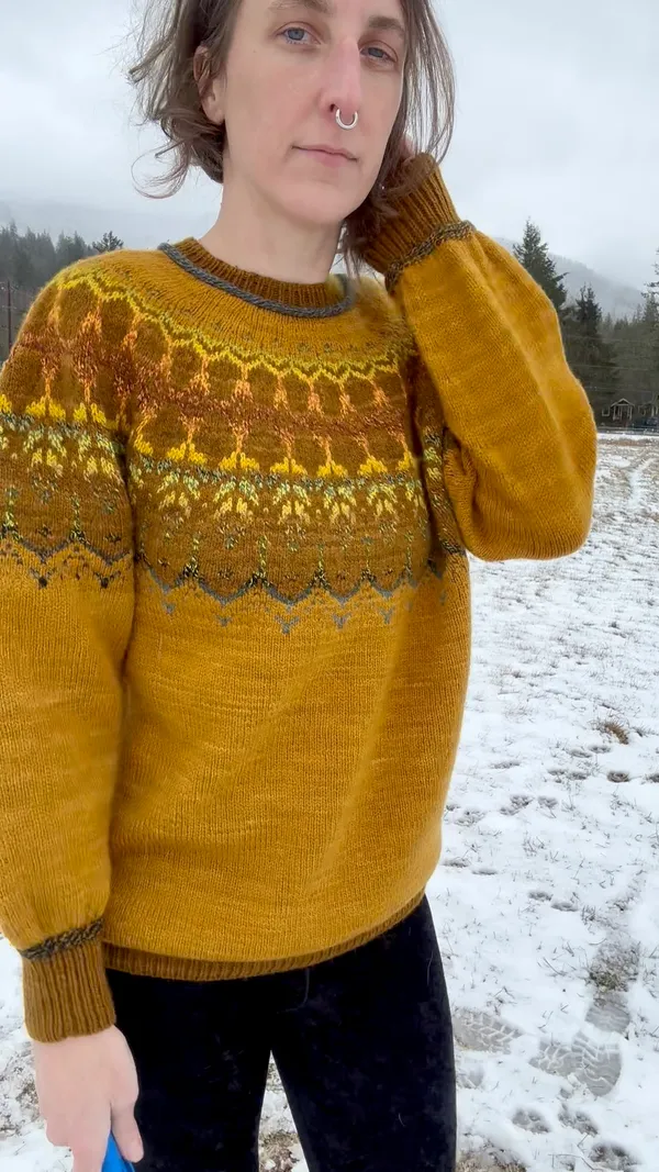 Long sleeve sweater with fair isle yoke, knit in golden tones
