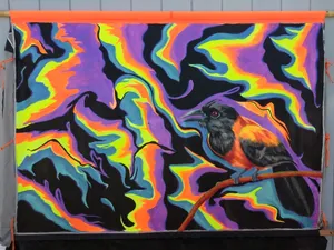 A triangle tent with a Pitohue and trippy swirls painted on the side