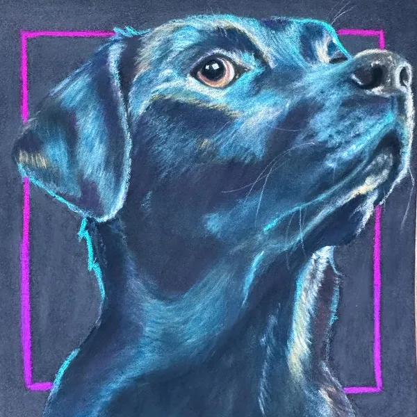 Portrait of a black lab, done in vibrant teals and black with gold highlights