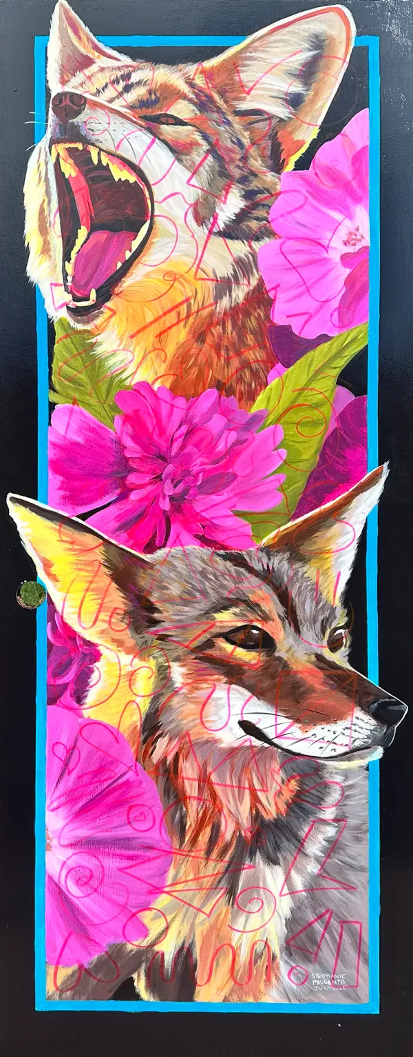 the coyotes with a bright pink doodle grid leaking through