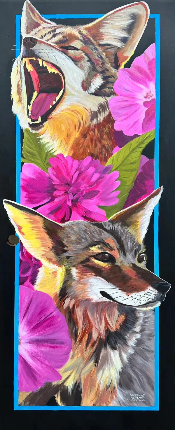 two coyotes surrounded by bright pink flowers, one with it's mouth wide open in a smirk