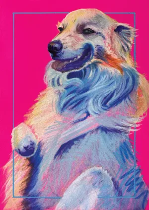 A golden retriever bathed in gold and blue light against a fluorescent pink background