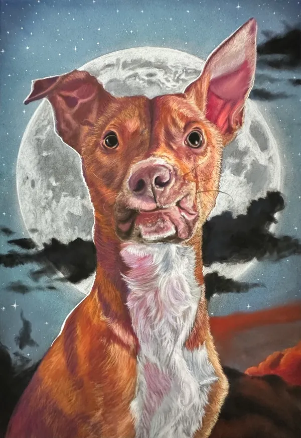 tan pitbull mix making a funny face in front of a full moon