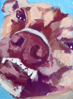 closeup of a grinning pitbull in bright orangey reds on a blue background
