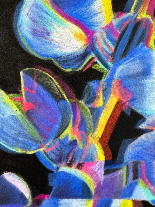 detail of lupine, where soft pastel strokes are evident