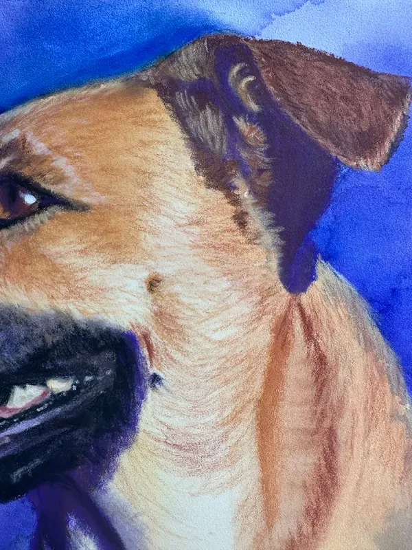 detail of ear, rendered with some detail
