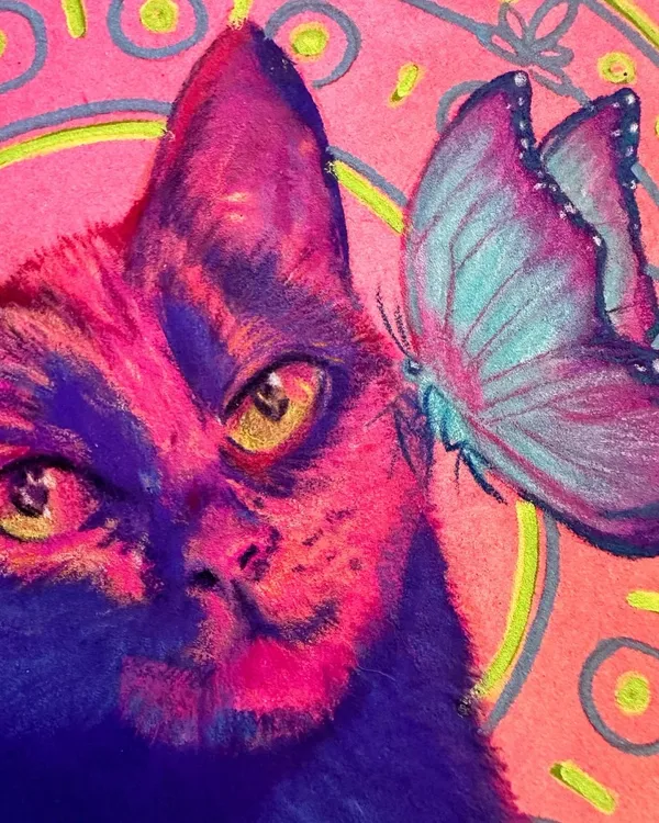detail of cat's face, with a buttefly