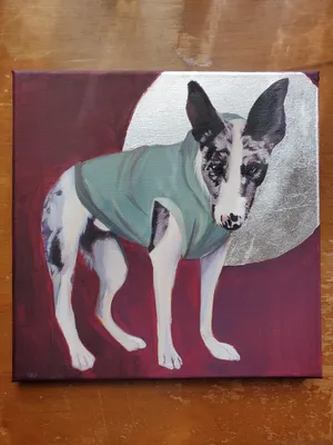 small oil painting of merle and white border collie mix wearing a sweatshirt, with a silver leaf circle in the background