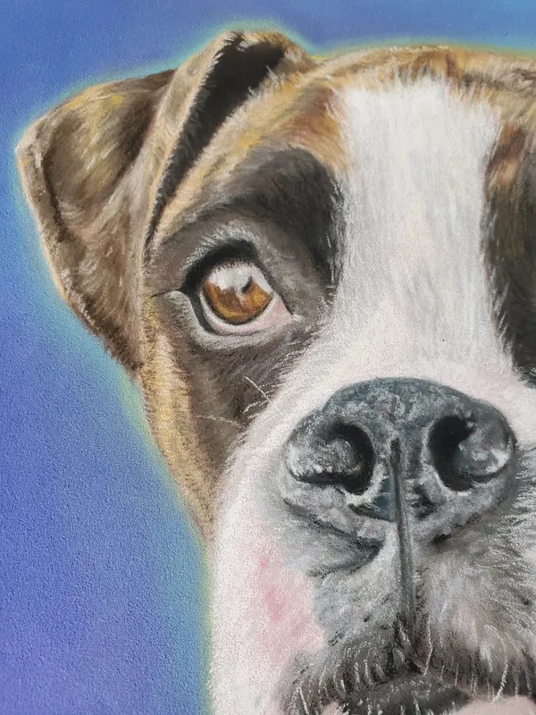 detail of Stella's face