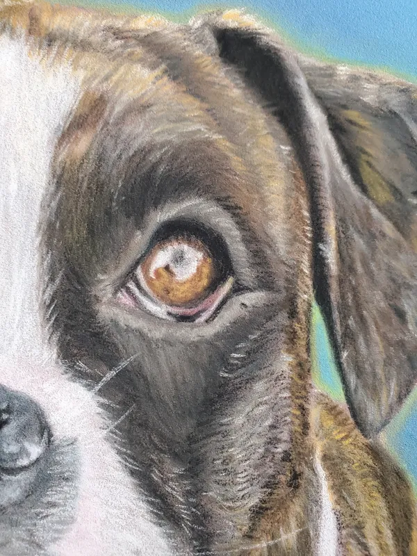 detail of Stella's eye