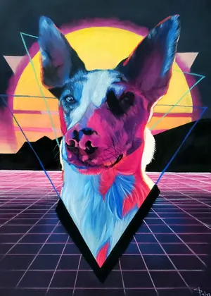 A merle border collie mix with dramatic lighting against a synthwave sunset